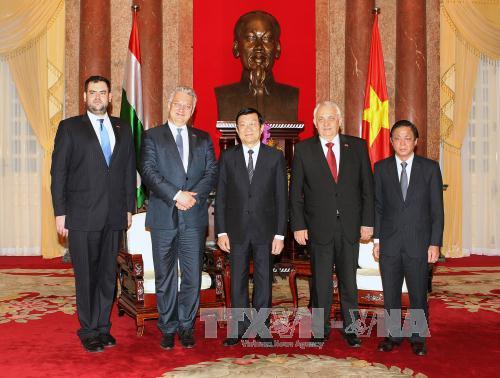 Chủ tịch nước tiếp các quan chức Hungary và Indonesia ảnh 1