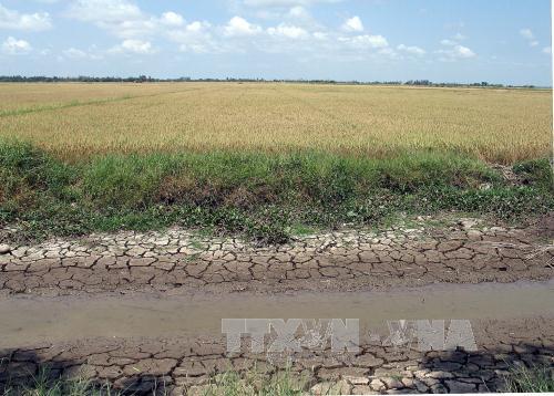 Tháng 4, miền Bắc còn 2-3 đợt không khí lạnh ảnh 1