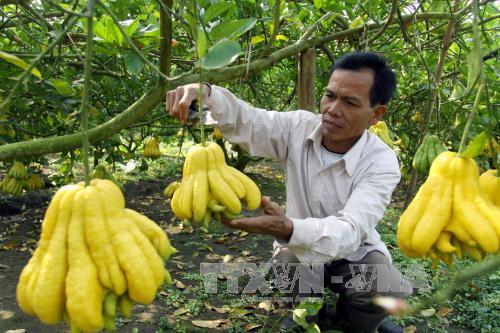 Phát triển bền vững vùng Tây Bắc ảnh 1