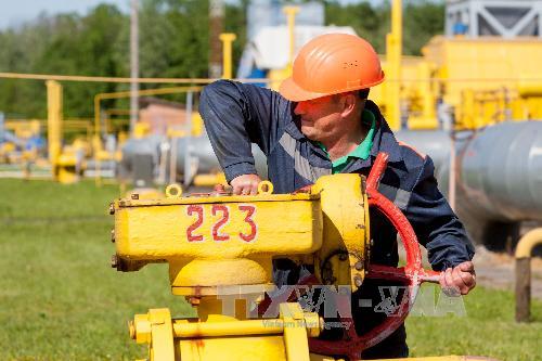 Gazprom ký hợp đồng mới cấp khí đốt cho Ukraine ảnh 1