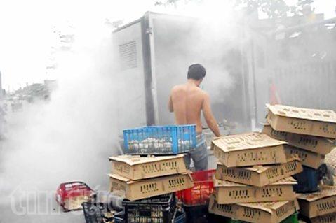Xe tải phát hỏa, gần 200 con gà con bị thiêu cháy 