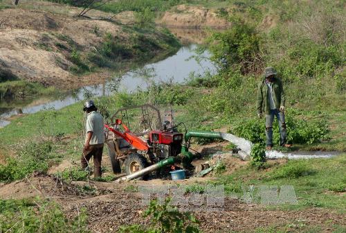 Đắk Lắk cạn kiệt nước ngầm vì khai thác trái phép ảnh 1
