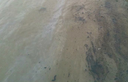 Hơn 10.000 lít dầu tràn ra sông Vàm Cỏ