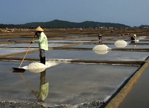 Mùa muối 'đắng' ảnh 1