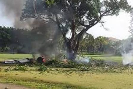 Rơi máy bay tại sân golf, 7 người thiệt mạng ảnh 1