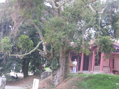 Dấu tích Kinh đô Văn Lang xưa ảnh 2