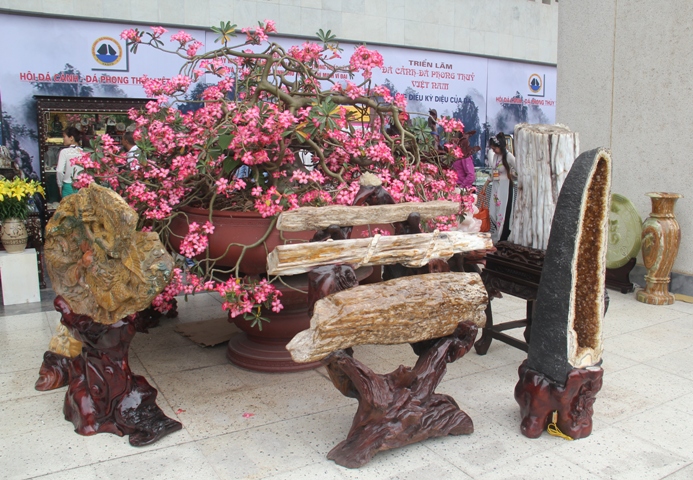 Triển lãm đá cảnh - Đá phong thủy Việt Nam ảnh 5