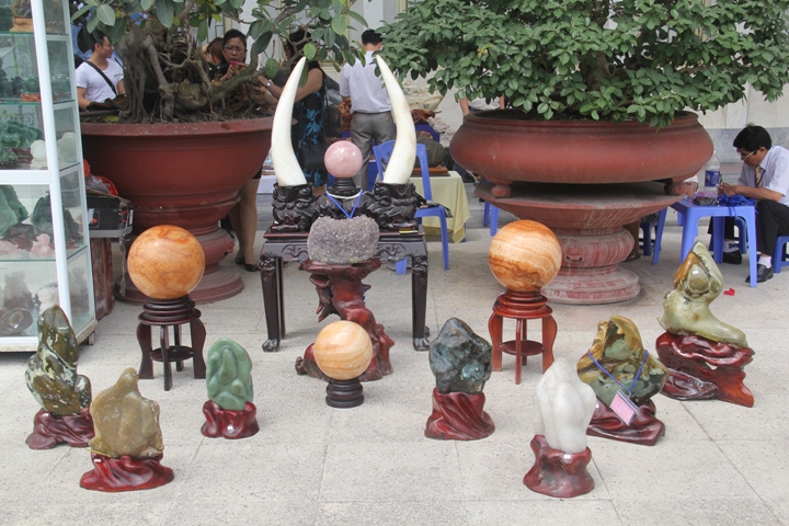 Triển lãm đá cảnh - Đá phong thủy Việt Nam ảnh 12