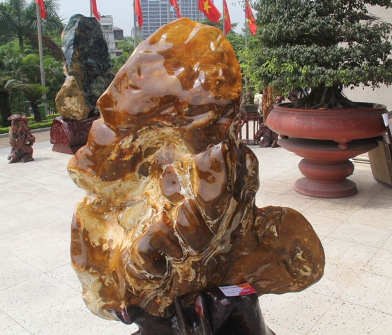 Triển lãm đá cảnh - Đá phong thủy Việt Nam