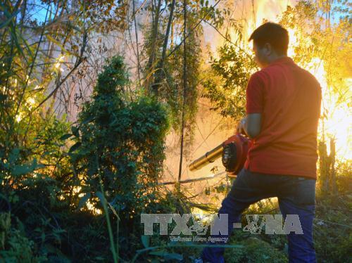 Bắc Giang: Cháy rừng, một người thiệt mạng ảnh 1