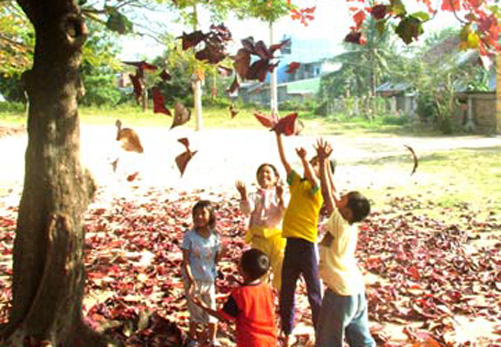 Viết cho chiều cuối xuân ảnh 1