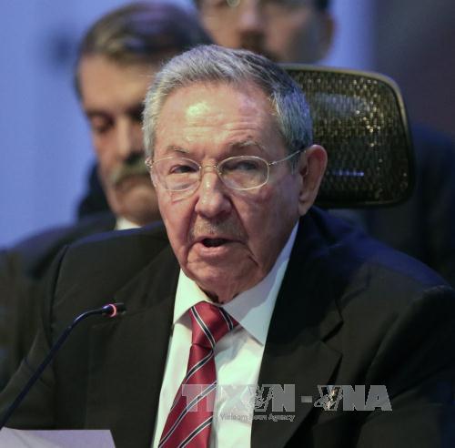 Chủ tịch Cuba thăm Algeria ảnh 1