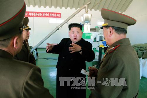 Vì sao ông Kim Jong-un hủy thăm Moskva? ảnh 1