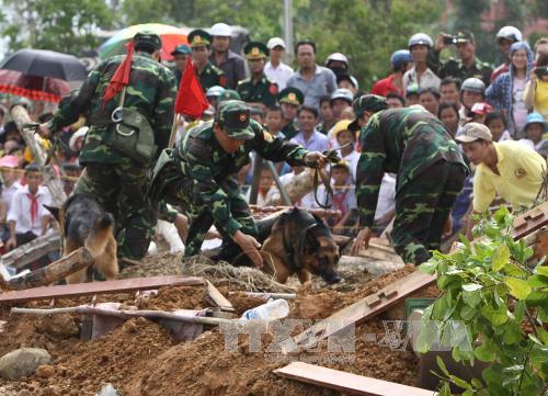 Biểu diễn võ thuật và chó nghiệp vụ chiến đấu ảnh 1