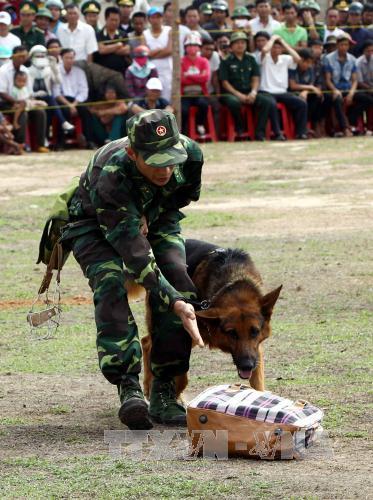 Biểu diễn võ thuật và chó nghiệp vụ chiến đấu ảnh 4
