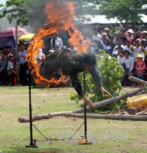 Biểu diễn võ thuật và chó nghiệp vụ chiến đấu ảnh 5