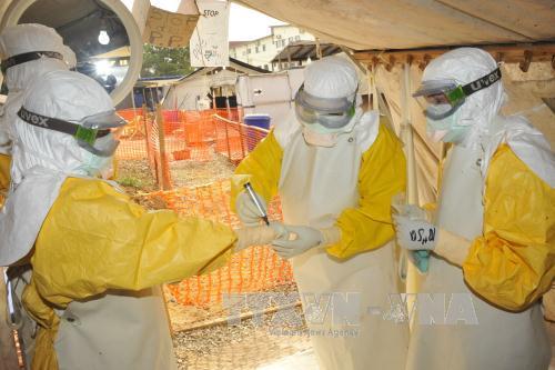 Một y tá Italy dương tính với virus Ebola ảnh 1