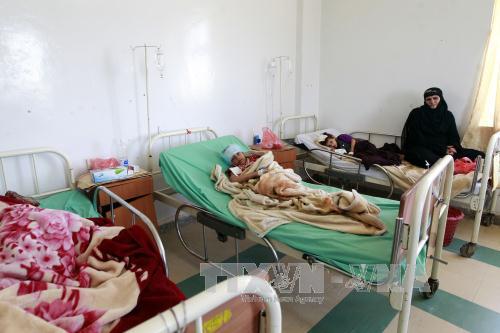 Liên quân tố cáo Houthi vi phạm lệnh ngừng bắn ảnh 1