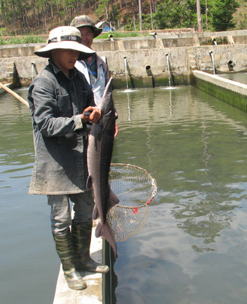 Lâm Đồng thu hút đầu tư vào nông nghiệp công nghệ cao ảnh 1