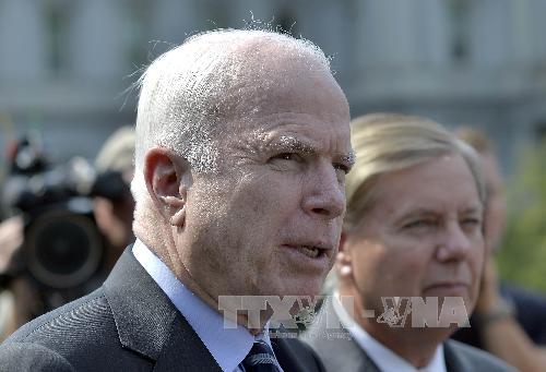 TNS John McCain từ chối làm cố vấn cho Ukraine ảnh 1