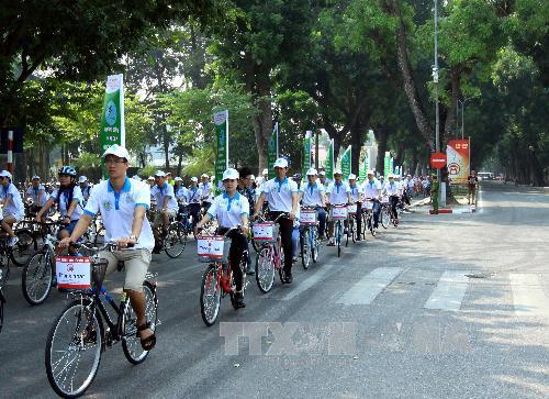 Kết luận thanh tra việc cải tạo, thay thế cây xanh ở Hà Nội ảnh 2