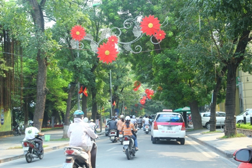Kiểm điểm trách nhiệm vụ 'cải tạo cây xanh' trước ngày 30/6 ảnh 1