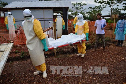 Ebola tái xuất ở Guinea và Sierra Leone ảnh 1