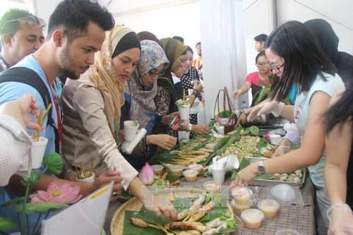 Việt Nam tham gia Lễ hội Sắc màu ASEAN 2015 tại Malaysia ảnh 1