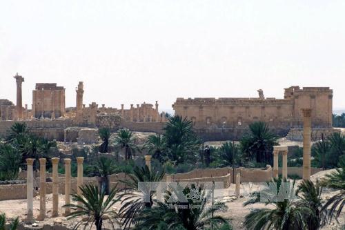 Quân đội Syria chuẩn bị phản công giành lại Palmyra ảnh 1
