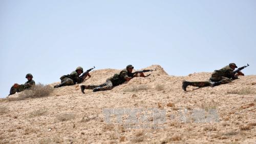 Quân đội Syria tiêu diệt 140 tay súng IS ảnh 1