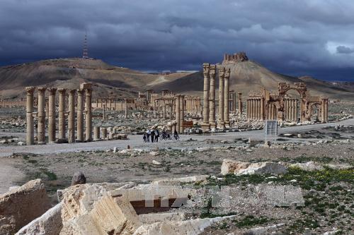 Nếu Palmyra về với cát bụi... ảnh 2