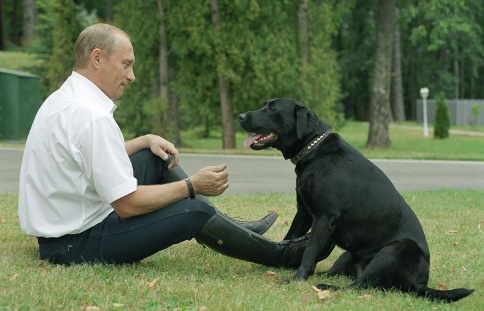 Tổng thống Putin tặng chó con cho bé gái ảnh 1