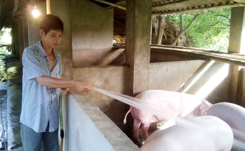 Thất bại không nản chí ảnh 1