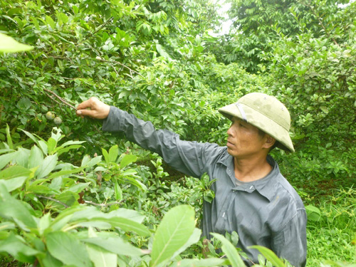 Công an viên làm kinh tế giỏi ảnh 1