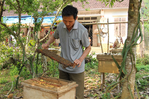 Cựu chiến binh làm kinh tế giỏi ảnh 1