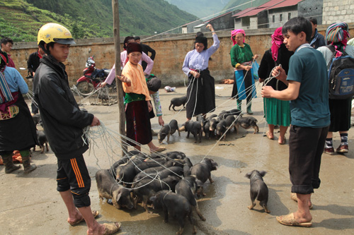 Phiên chợ Phố Cáo ảnh 3