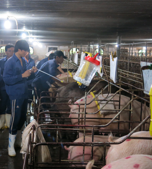 Agribank chi nhánh Vũng Tàu: Đa dạng hóa sản phẩm, đẩy mạnh tín dụng ảnh 1