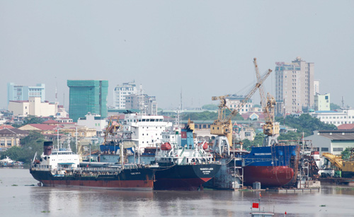 Cảng biển xanh ở Hải Phòng ảnh 1
