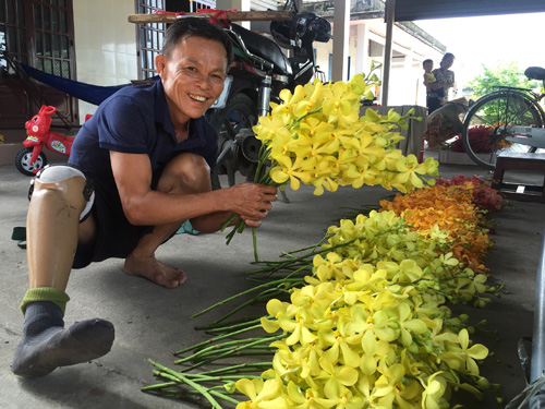 Thương binh làm giàu từ trồng lan ảnh 1