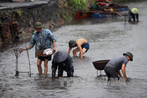 Người dân Quảng Ninh đổ ra suối mò than ảnh 2