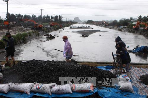Người dân Quảng Ninh đổ ra suối mò than ảnh 5