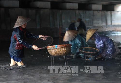 Người dân Quảng Ninh đổ ra suối mò than ảnh 4