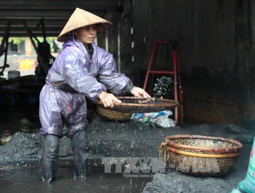Người dân Quảng Ninh đổ ra suối mò than ảnh 7