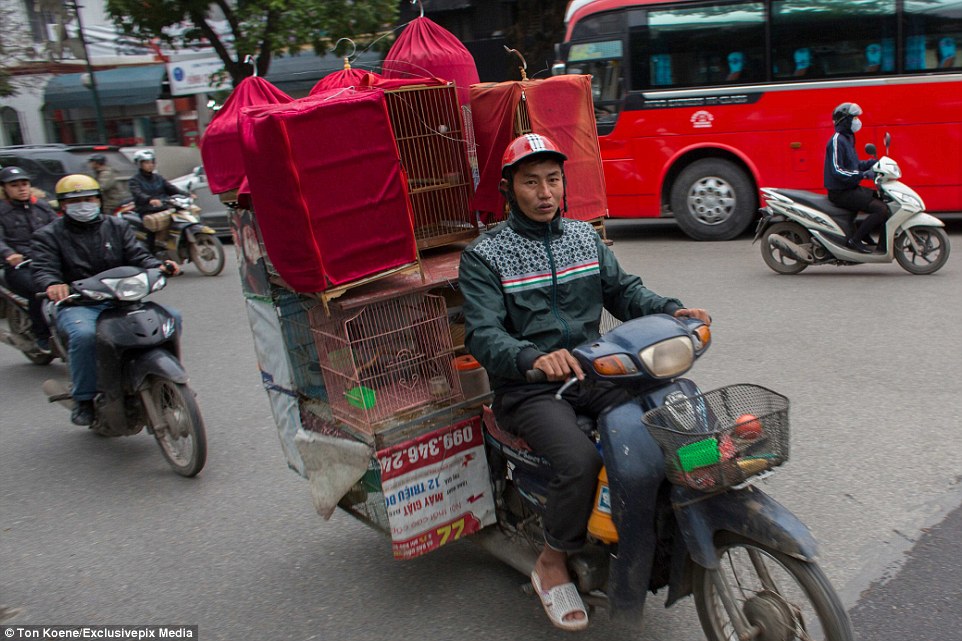 Báo Anh tung ảnh "người vận chuyển" kiểu Việt Nam ảnh 3
