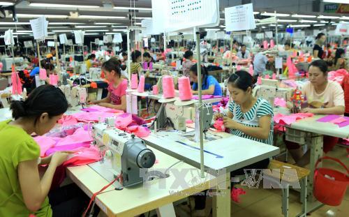 Báo Anh bình luận về FTA giữa EU và Việt Nam ảnh 1