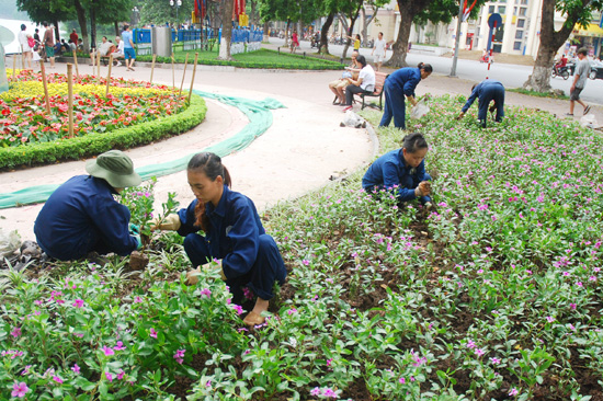 Hà Nội tưng bừng chuẩn bị lễ Kỷ niệm 70 năm Quốc khánh ảnh 4
