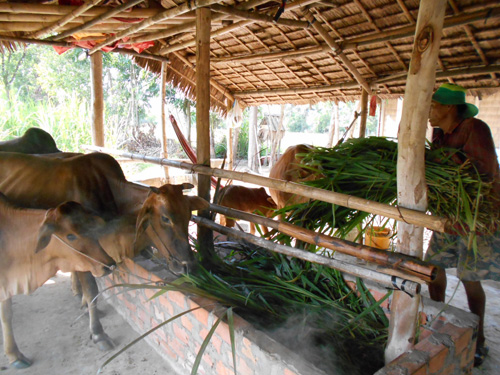 Dự án nhỏ, hiệu quả lớn ảnh 1