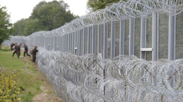 Người tị nạn ném đá cảnh sát Hungary để sang Đức ảnh 2