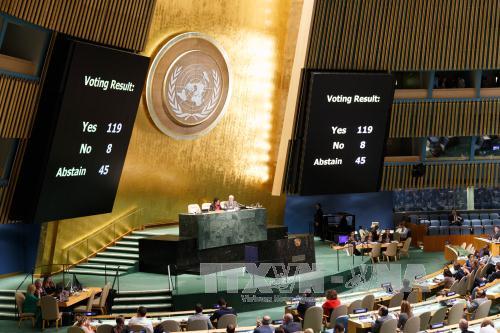 LHQ nhất trí thượng cờ Palestine ở các trụ sở ảnh 1