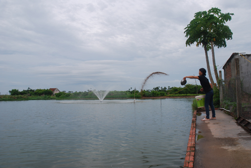 Không còn sợ "đói" vốn vì thoát nghèo ảnh 2